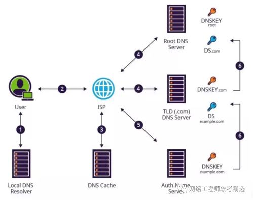 常见的网络攻防技术 从零基础入门到精通